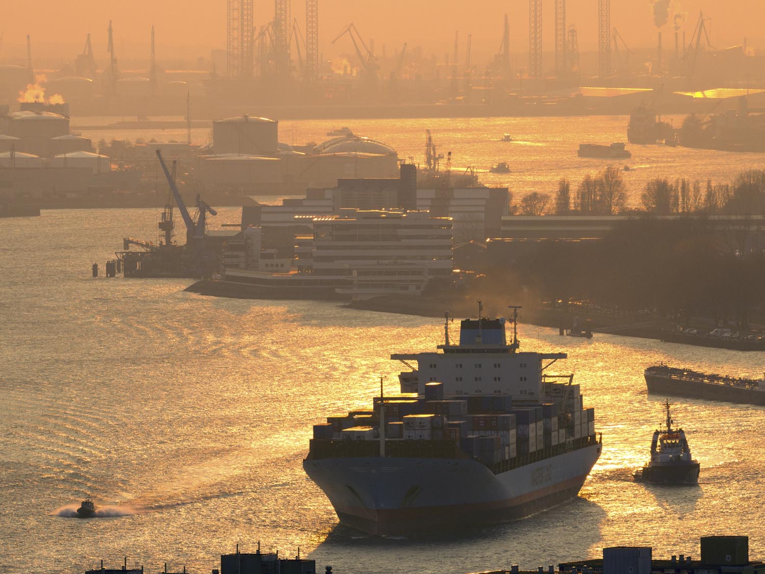 China export rates hit three year high China export rates hit three year high