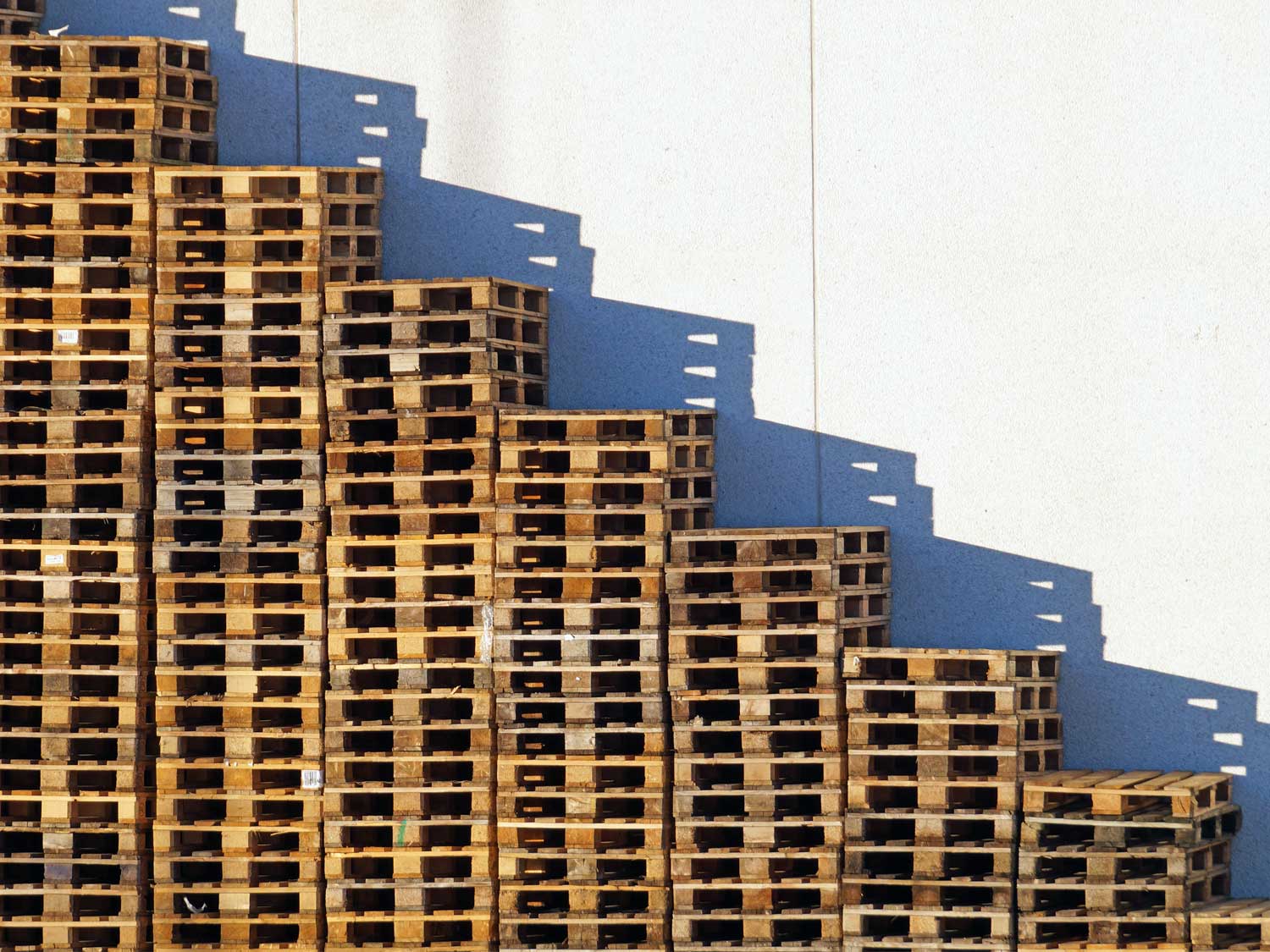 Ukraine invasion drives timber prices up and pallet supply down