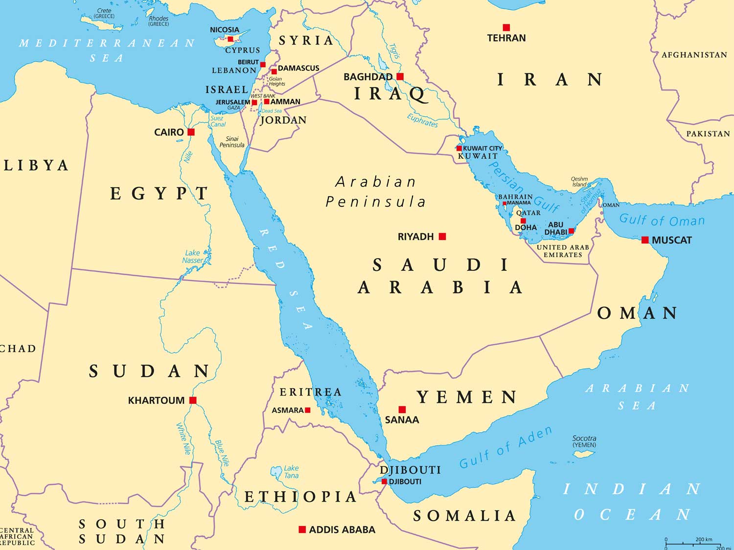 Container shipping braces for volatility as Red Sea routes beckon