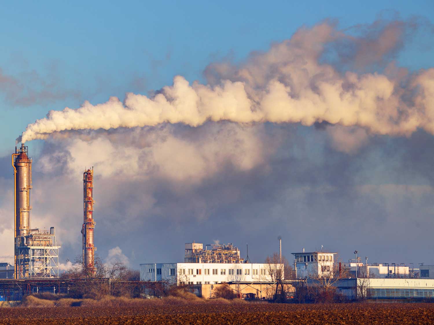 CSRD: Turning Mandatory Reporting into a Competitive Edge