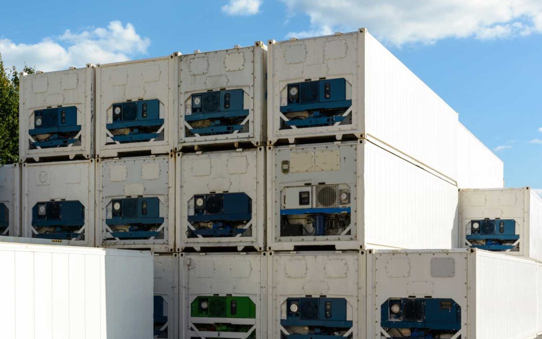 reefer containers stacked