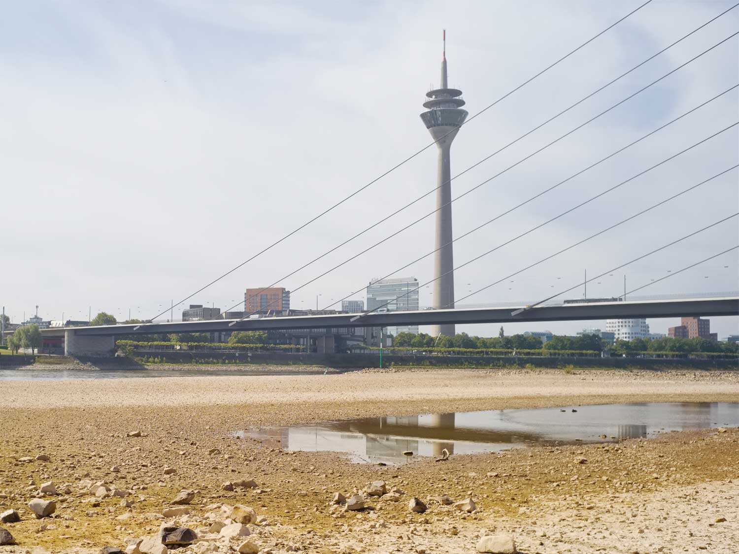 Rhine low water levels